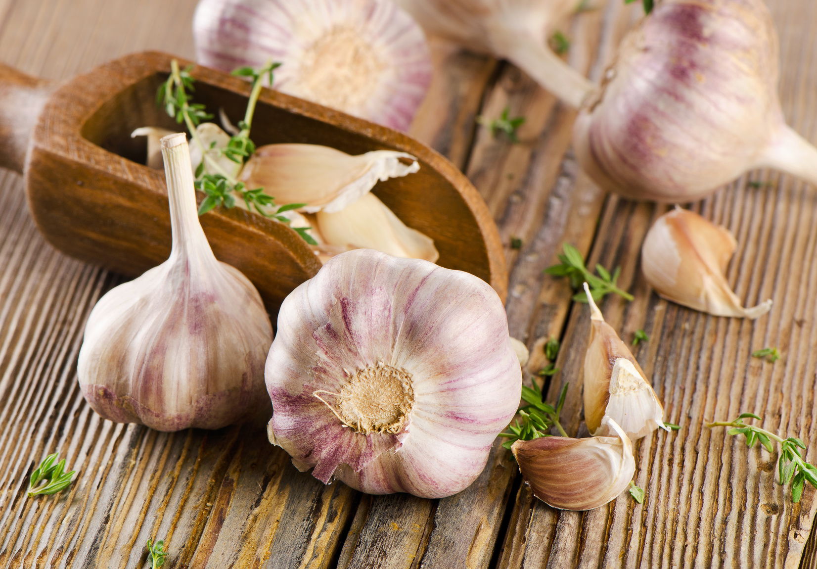 garlic-as-a-medicine-how-effective-it-is-imbalife