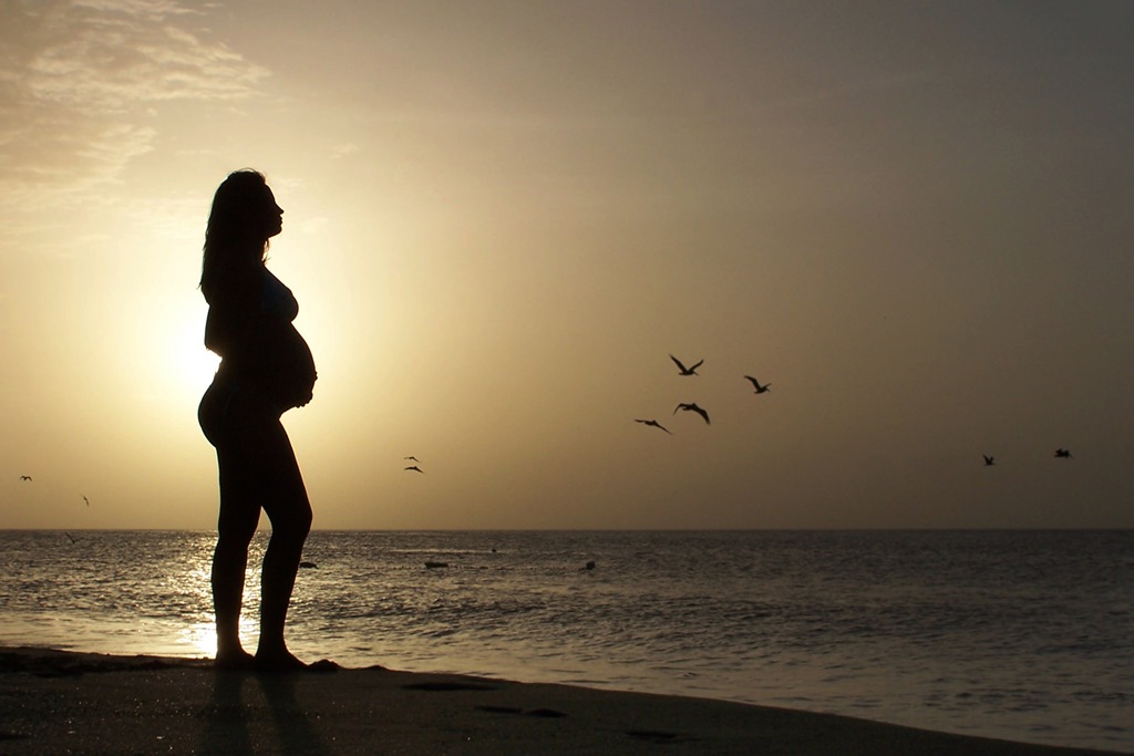 Prenatal Period Meaning In English